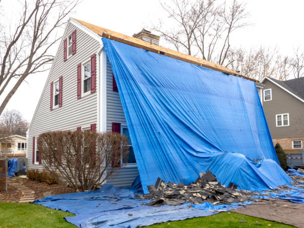 Trusted Burnham, IL Junk Removal Experts